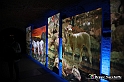 VBS_9779 - Mostra I Macchiaioli 